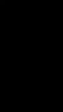 Портфолио - 74